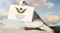آزادی 9 هزار محکوم غیرعمد در سال 95
