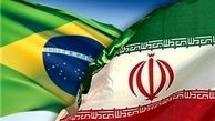  آمادگی کنگره برزیل برای کمک به توسعه مناسبات با ایران در همه زمینه‌ها