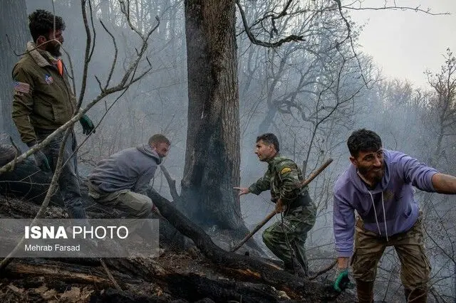 انصاری: آتش‌سوزی الیت ۲۰ روز مداوم نبود/ ضرورت تشکیل یگان ویژه اطفای حریق جنگل‌ها