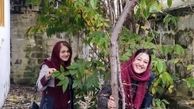 خانه مادری خانم بازیگر معروف + عکس