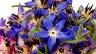 بهترین نوشیدنی برای افراد مضطرب 