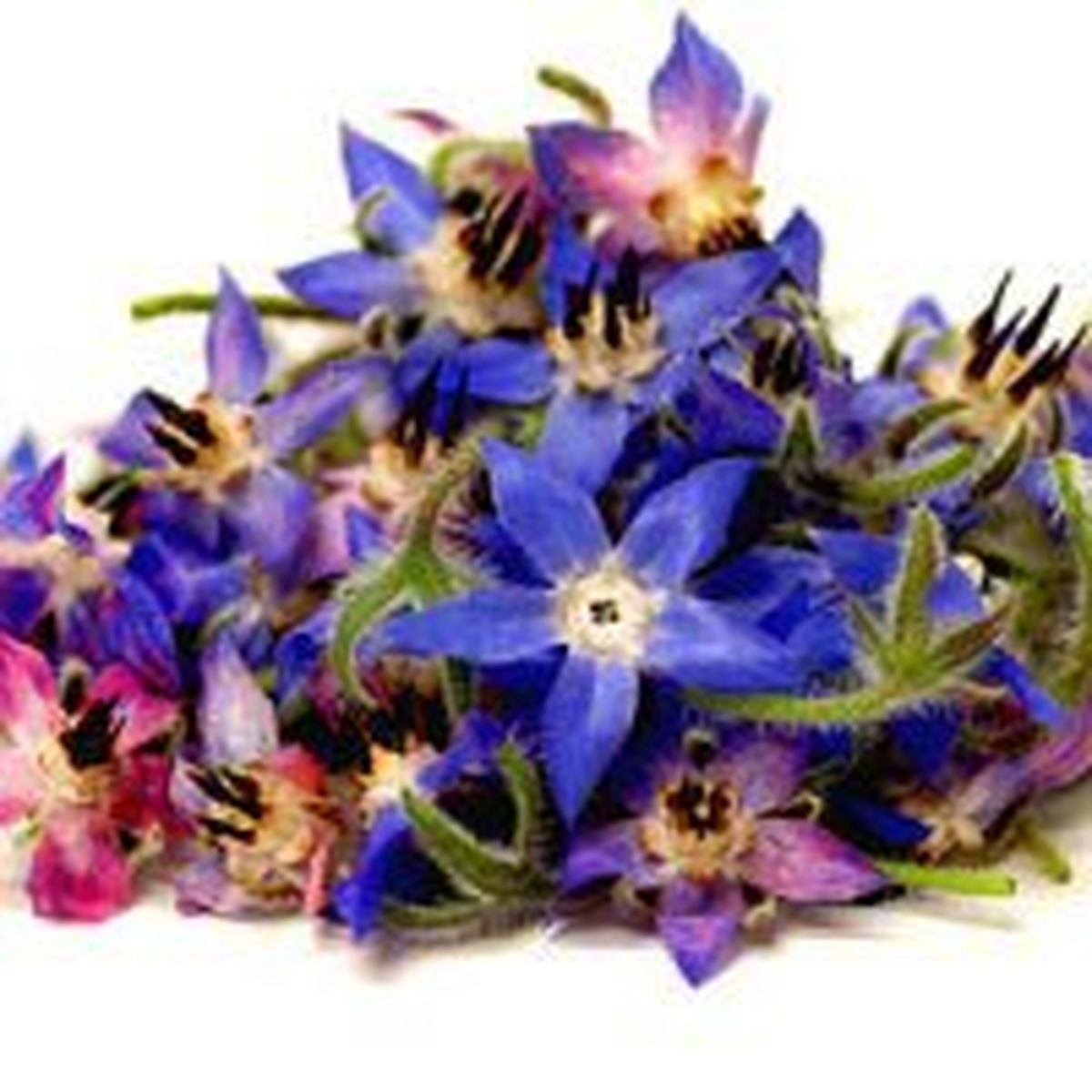 بهترین نوشیدنی برای افراد مضطرب 