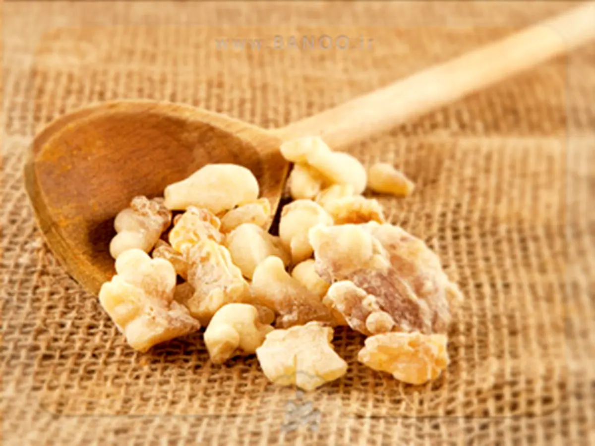 از چند ماهگی کندر بخورم؟