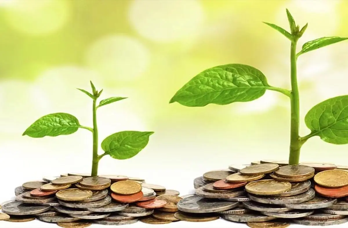 سود یک درصد بانک مرکزی برای سپرده قانونی/ تضمین در صندوق ضمانت سپرده های بانکی تا سقف 100 میلیون