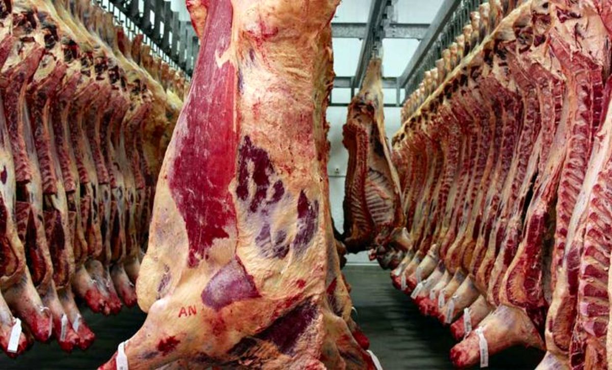 قیمت گوشت کاهش می‌یابد / تا بهار ۱۴۰۳ واردات گوشت صفر خواهد شد