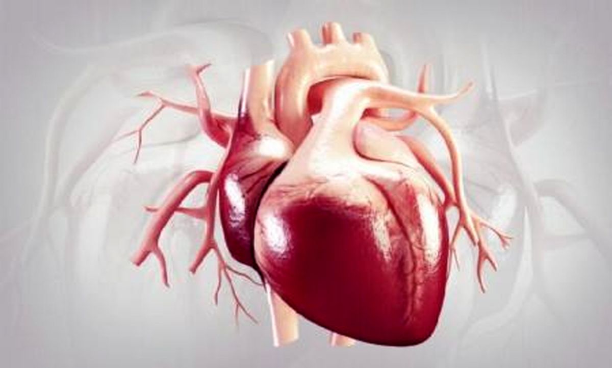 این عصاره راهی برای باز کردن رگهای قلب است