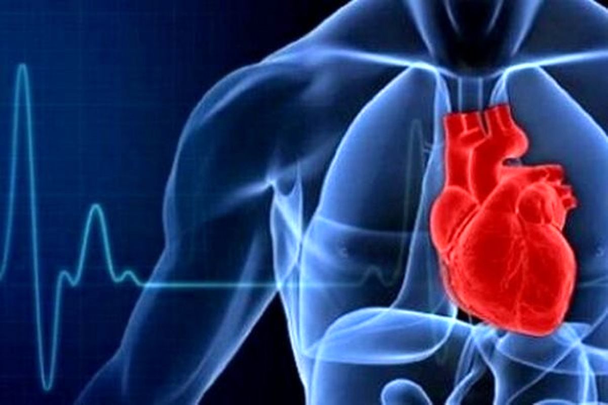 اندازه دور کمر پیش بینی کننده ریسک حمله قلبی