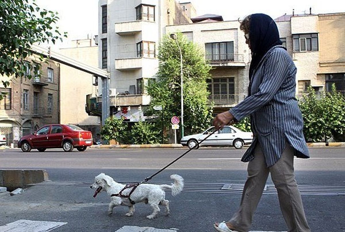 سبقت از الگوهای اولیه در پدیده تقلیدگرایی