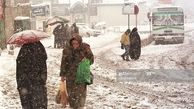 تصاویر ناب از ایرانِ قدیم
