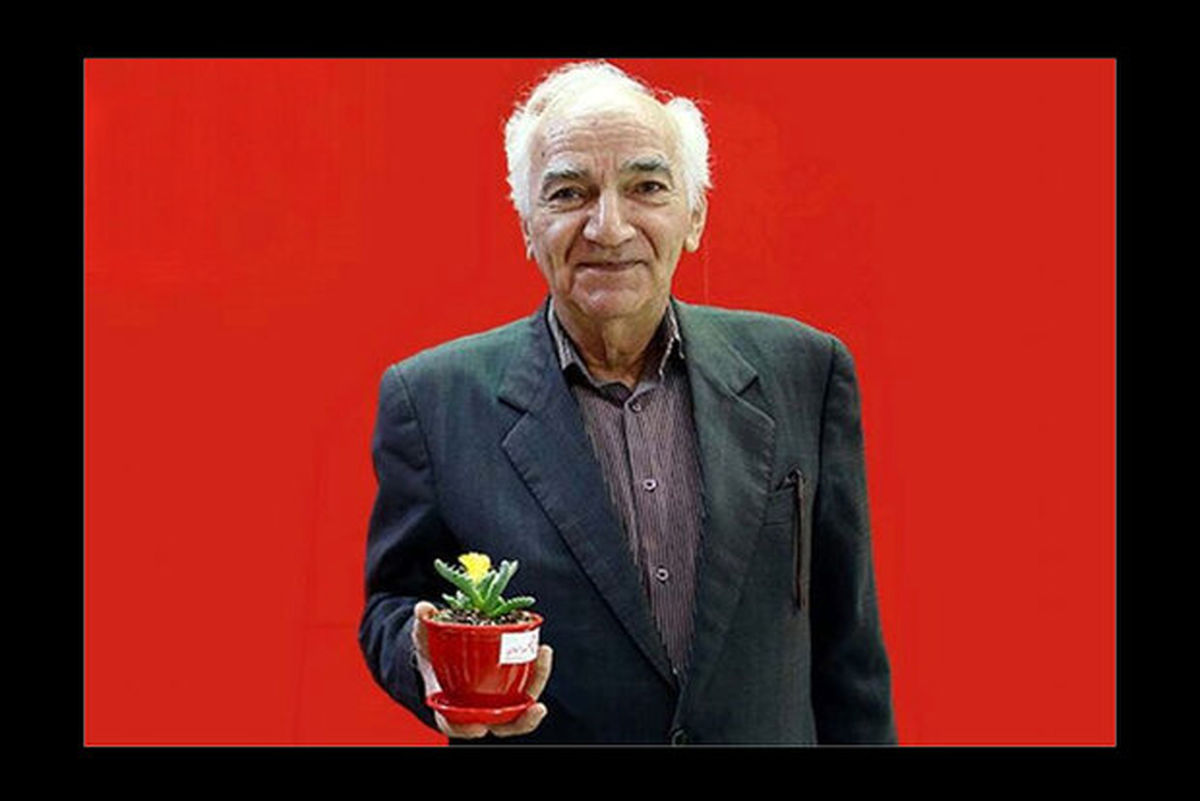جنگ شاد مهمان خانه های ایرانی ها