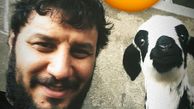 جواد عزتی و بره کوچولوش + عکس