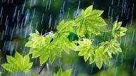بارش باران جان تازه ای به مزارع کشاورزی کرمانشاه داد