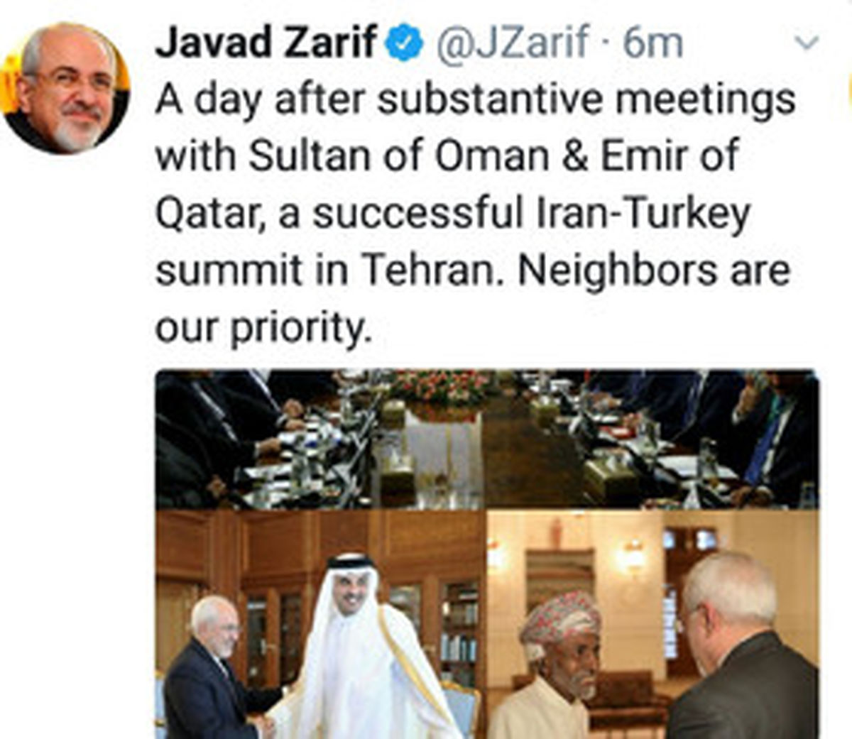 ظریف: همسایگان اولویت ما هستند/عکس