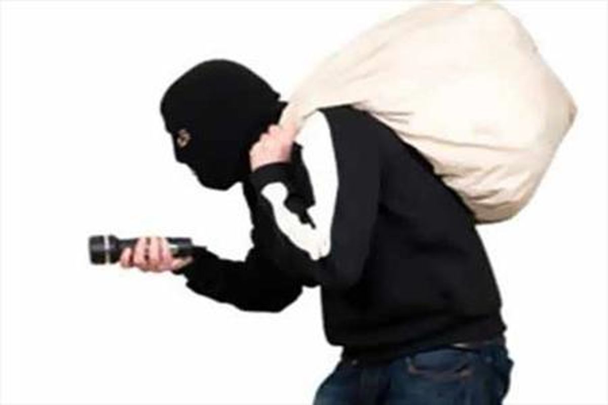 ایده بسیار جالب برای جلوگیری از سرقت! + عکس
