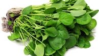 خواص سبزی شاهی در کاهش فشارخون و کنترل دیابت