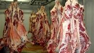 250 تن گوشت گرم گوسفندی در البرز توزیع شد