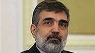  تکذیب مصاحبه با دانشمندان هسته‌ای