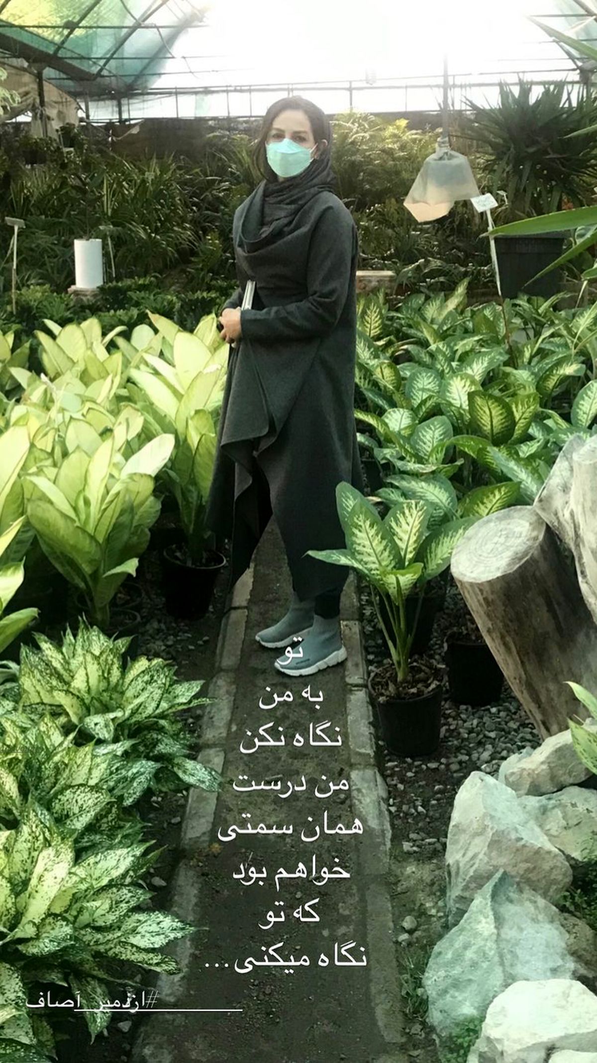 شقایق دهقان در گلخانه ای زیبا + عکس