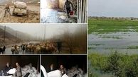 جزئیات میزان خسارت سیل و نحوه جبران آن در بخش کشاورزی کشور