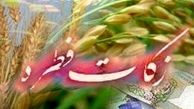 امکان واریز تلفنی فطریه فراهم شد