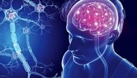 یک حقیقت تلخ در مورد ام اس | این کارها ابتلا به ام اس را ۱۶ برابر افزایش می‌دهد !