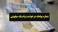 شماره پیامک درخواست وام یک میلیونی یارانه