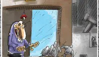 کاریکاتور گرانی مرغ و کفترهای محل