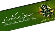 دستان پینه‌‌بسته کشاورزان به سوی دولت دراز است 