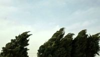 آب و هوای نوروز ۱۴۰۴ چطور است ؟ 