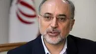 ایران غنی سازی ۲۰ درصد را متوقف نکرده است