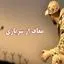 این گروه معاف از خدمت سربازی می شوند + جزئیات بیشتر
