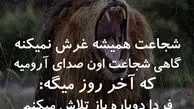 شجاعت شهره لرستانی