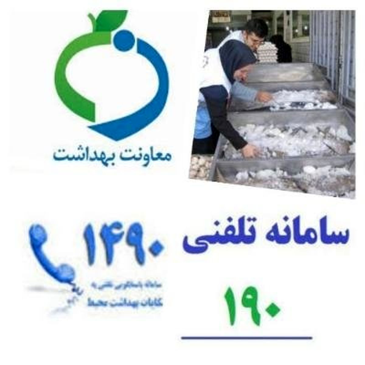 وزارت بهداشت ۳تن مواد غذایی فاسد را معدوم کرد