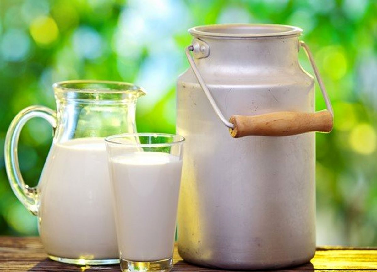 احتمال افزایش قیمت لبنیات در سال‌جاری