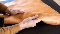 شاید کت‌های آینده از قارچ ساخته شوند!