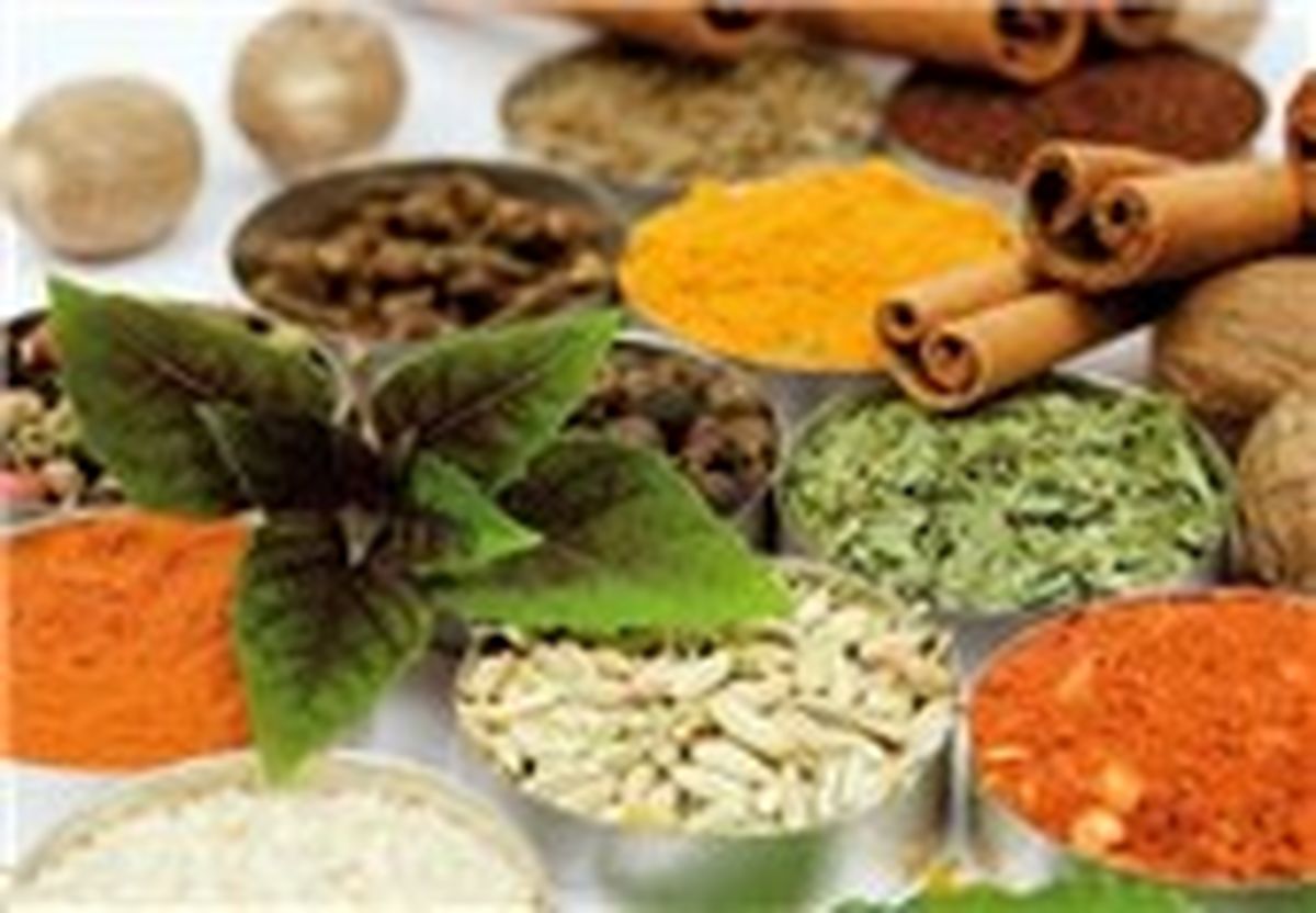 درمان زخم‌های دیابتی از طریق گیاهان دارویی 