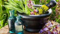 گیاهان دارویی مناسب برای پرورش در خانه