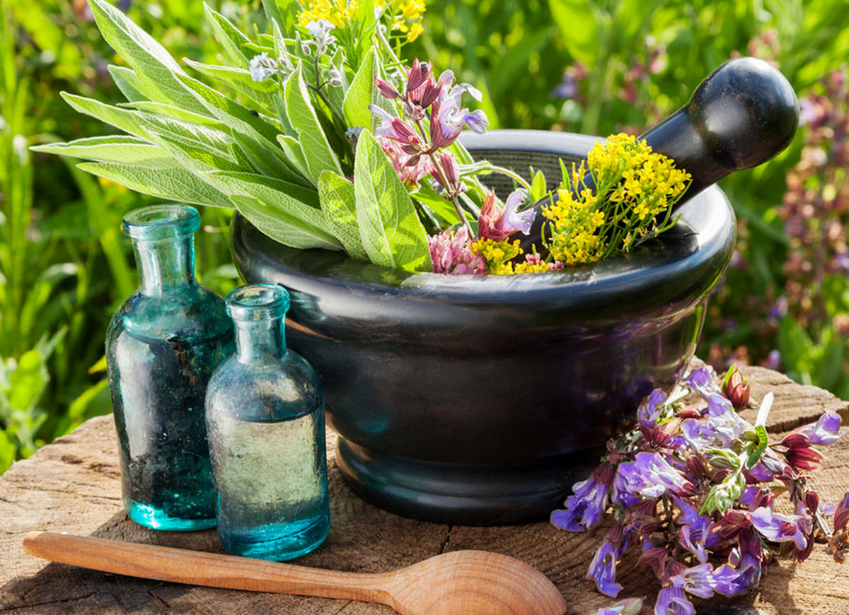 گیاهان دارویی مناسب برای پرورش در خانه