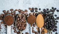 قهوه با مغز چه میکند؟