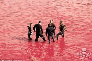 2ACFBBD900000578-3173617-Contemplating_Local_Faroese_men_reflect_in_the_bloodstained_wate-a-59_1437762253261