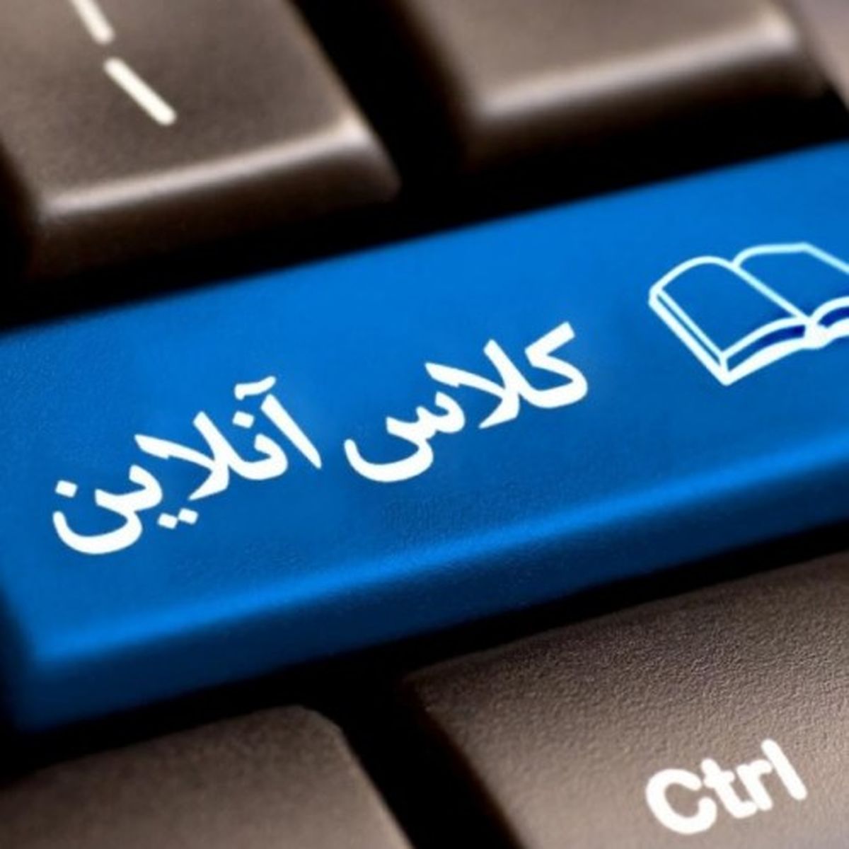 کلاس آنلاین در محاصره گله بزها!+ عکس